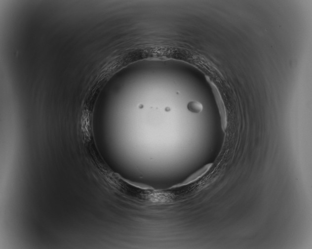 X0000097960336200803241219