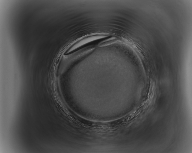 X0000097960337200803241218