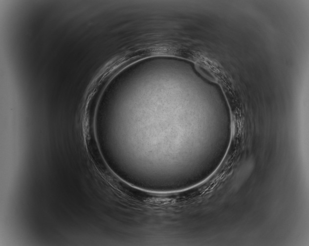X0000097960339200803241218
