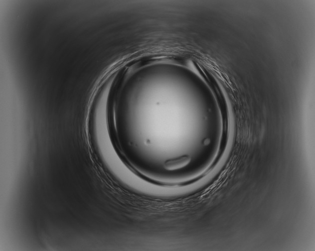 X0000097960340200803241218