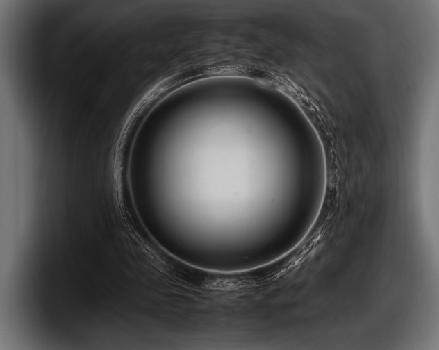 X0000097960341200803241218