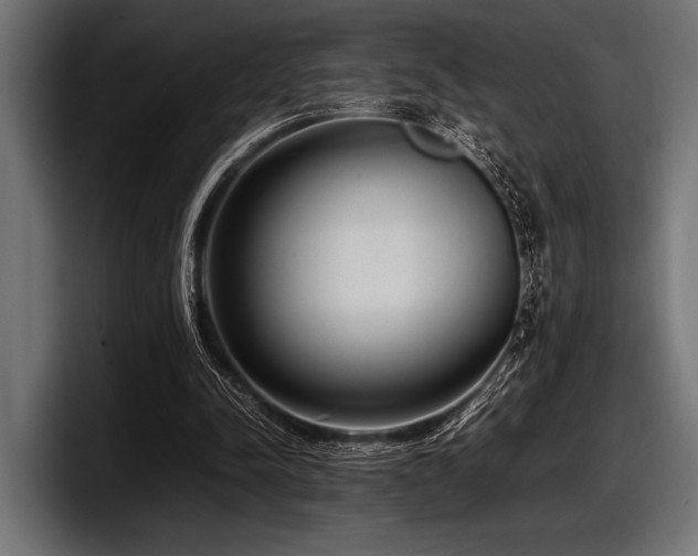 X0000097960342200803241218