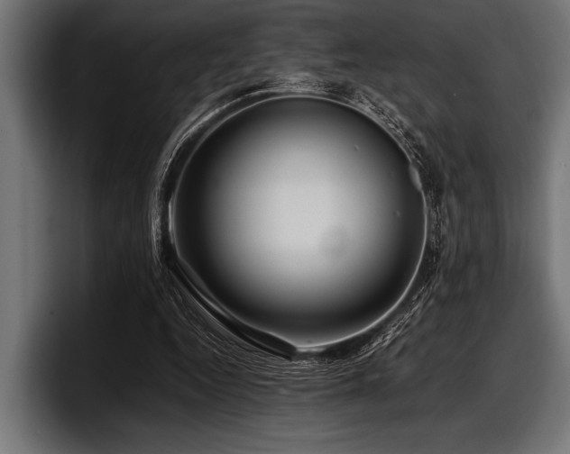 X0000097960344200803241218