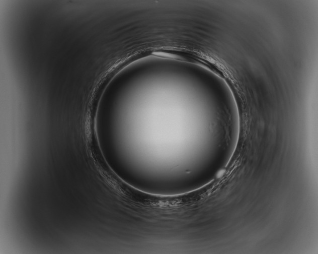 X0000097960345200803241218