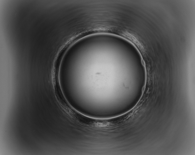 X0000097960346200803241218