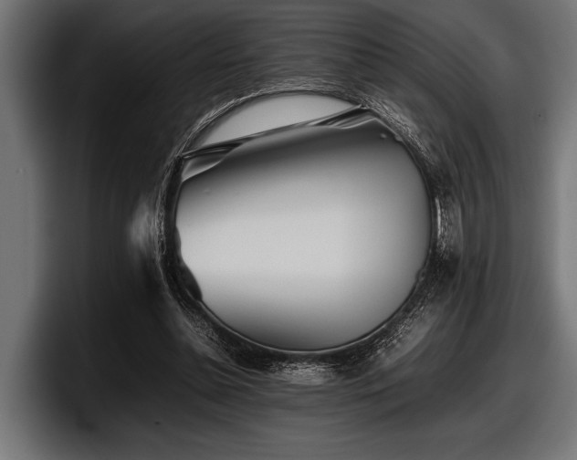 X0000097960348200803241218