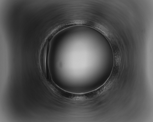 X0000097960350200803241218
