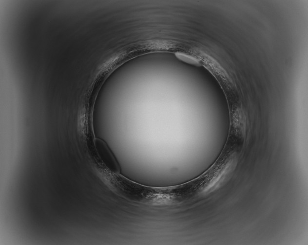X0000097960352200803241218