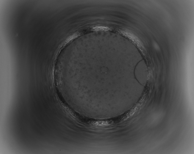 X0000097960353200803241218