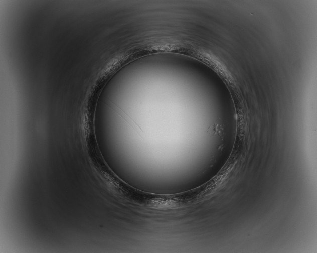 X0000097960354200803241218