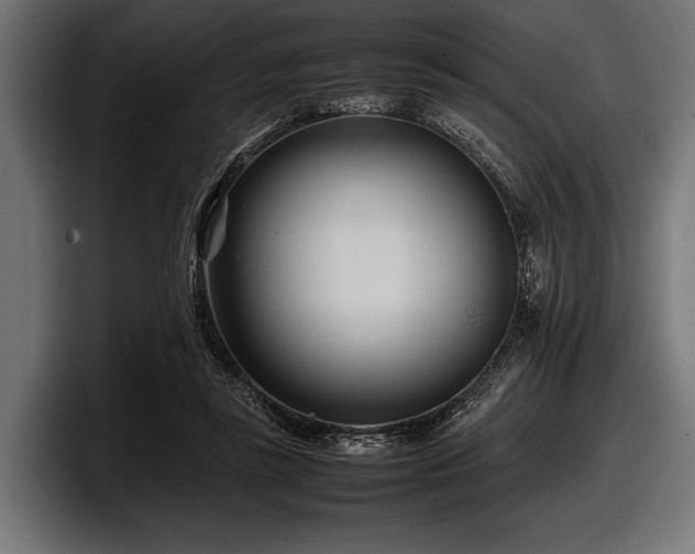 X0000097960355200803241218