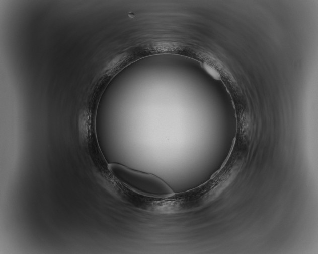X0000097960356200803241218