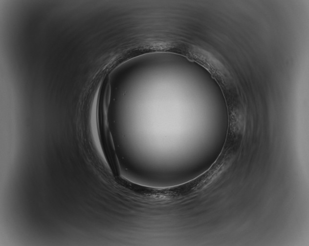 X0000097960358200803241218