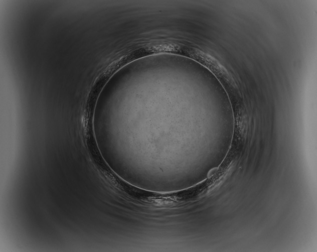 X0000097960359200803241218