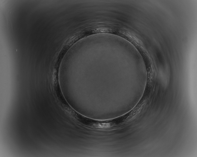 X0000097960361200803241218