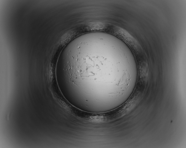 X0000097960362200803241218