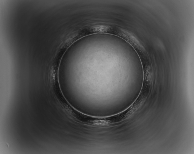 X0000097960363200803241218