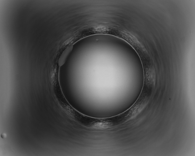 X0000097960364200803241218