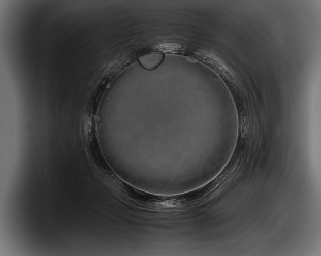 X0000097960365200803241218