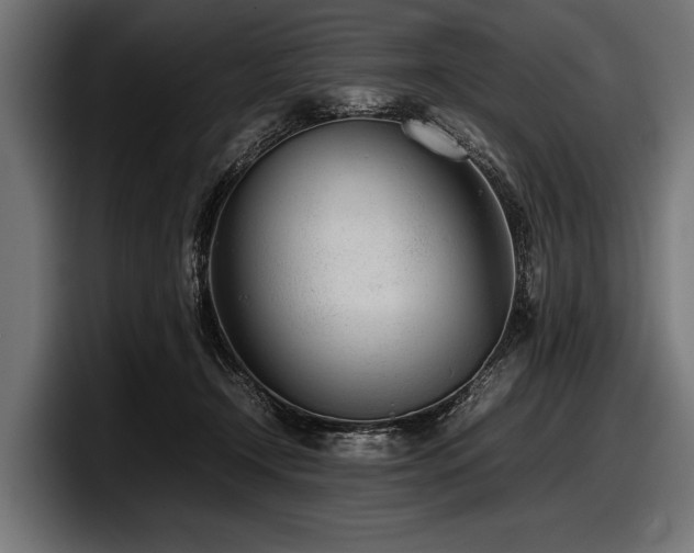X0000097960366200803241218