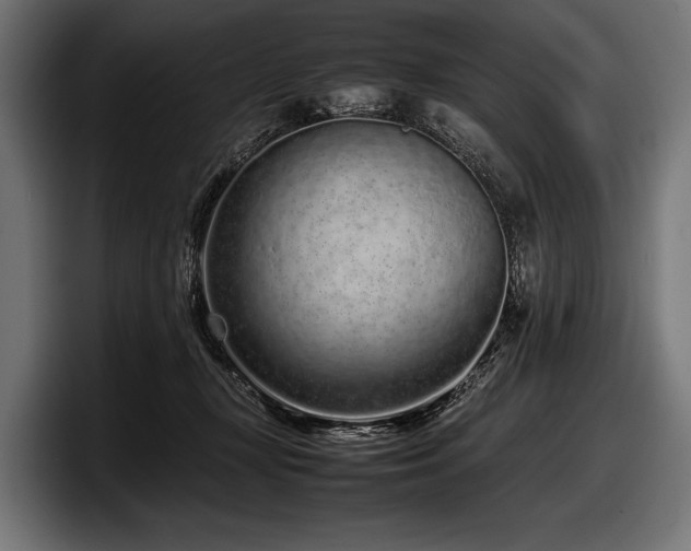 X0000097960367200803241218