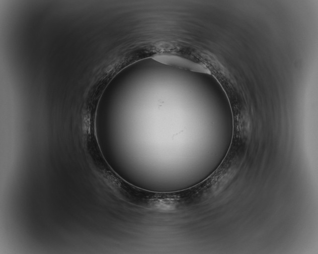 X0000097960368200803241218