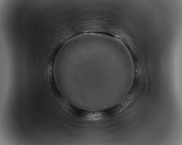 X0000097960369200803241218