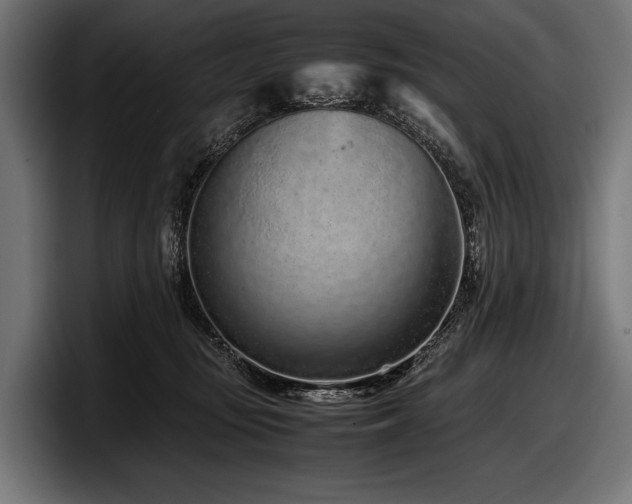 X0000097960371200803241218