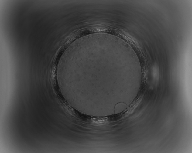 X0000097960373200803241219