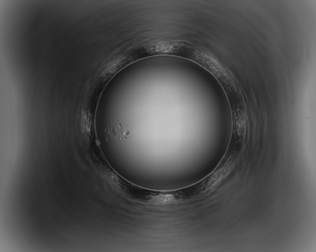 X0000097960374200803241219