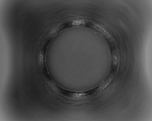 X0000097960375200803241219