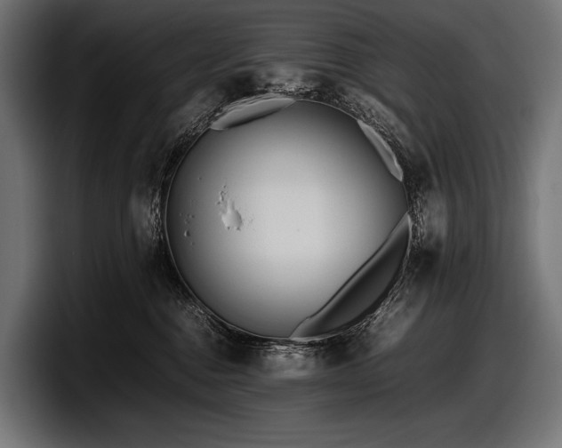 X0000097960376200803241219