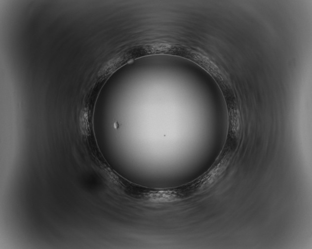 X0000097960378200803241219