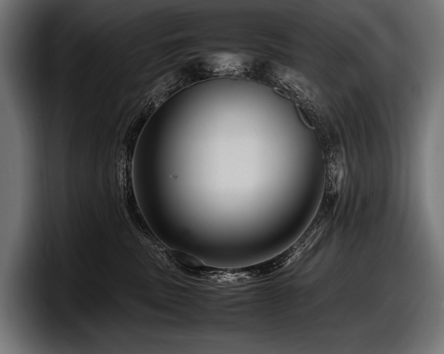 X0000097960379200803241219