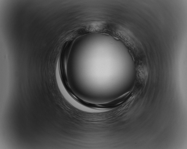 X0000097960380200803241219