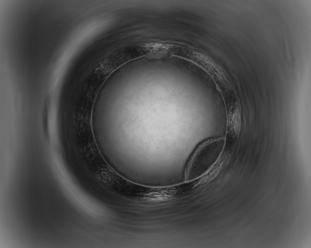 X0000097960381200803241219