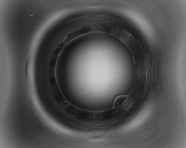 X0000097960383200803241219