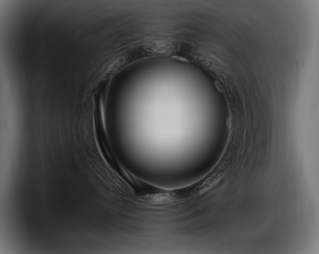 X0000097960384200803241219