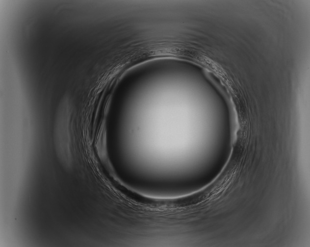 X0000097960385200803241218