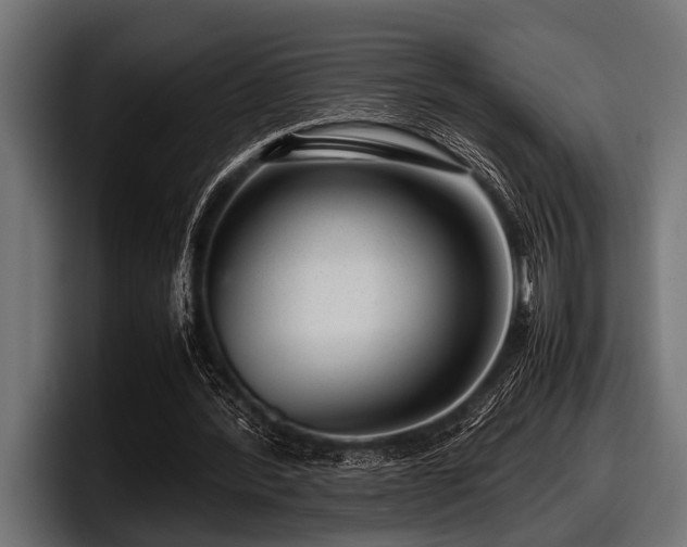 X0000097960388200803241218
