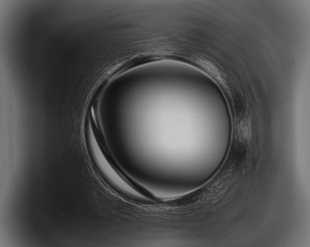 X0000097960389200803241218