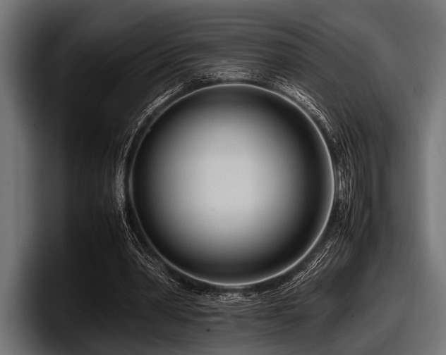 X0000097960390200803241218