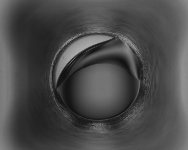 X0000097960391200803241218