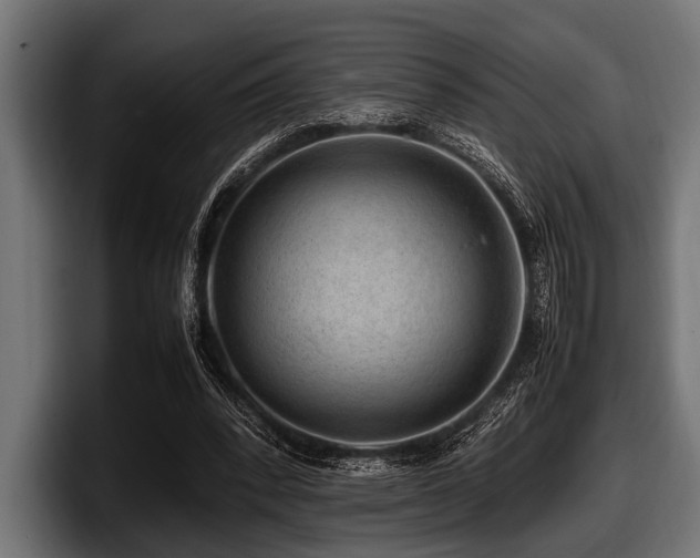 X0000097960392200803241218