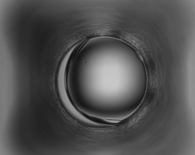 X0000097960393200803241218