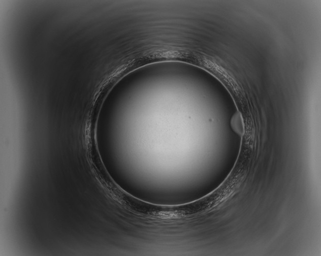 X0000097960394200803241218