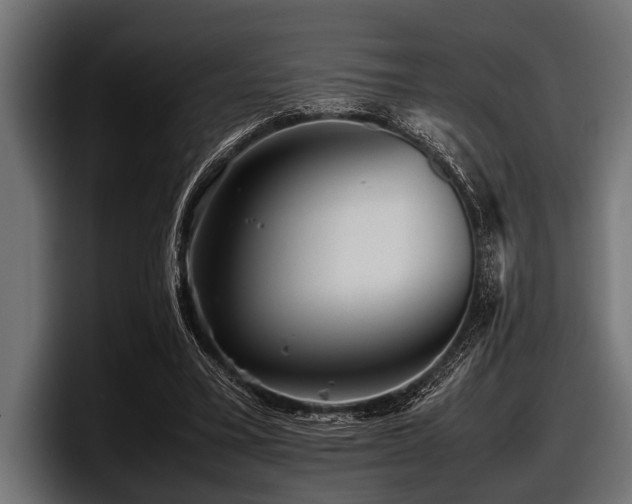 X0000097960395200803241218