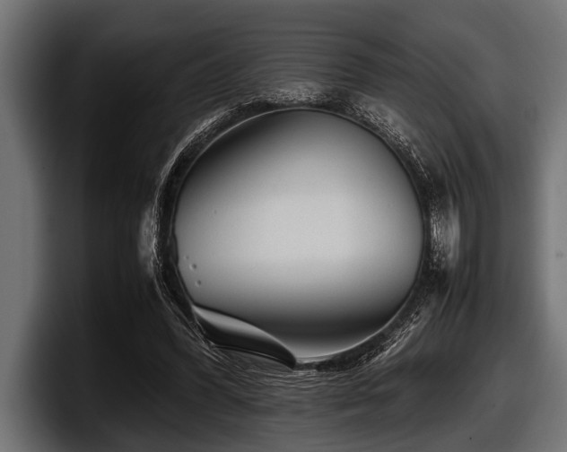 X0000097960396200803241218