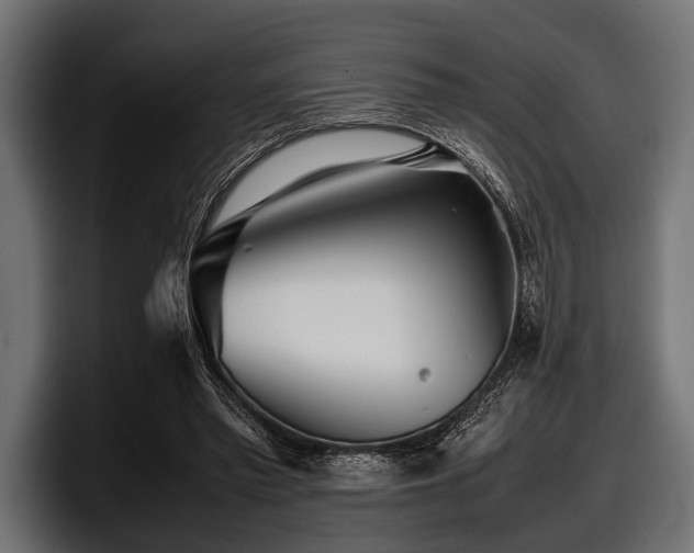 X0000097960397200803241218
