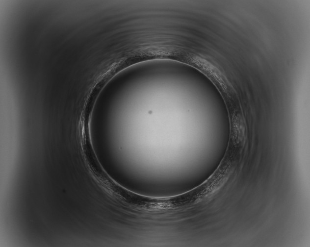 X0000097960398200803241218